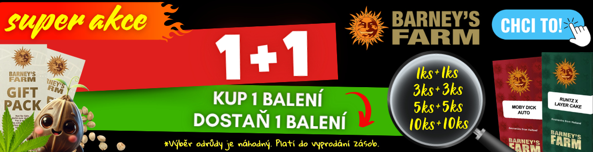 Akce 1+1