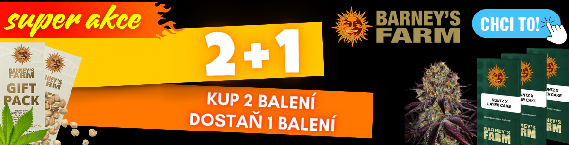 Barneys akce 2+1
